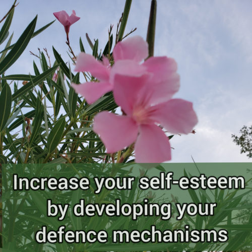 Increase your self-esteem by developing your defense mechanisms