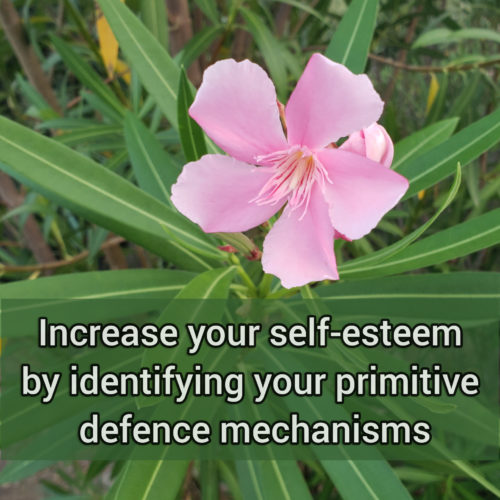 Increase your self-esteem by identifying your primitive defense mechanisms
