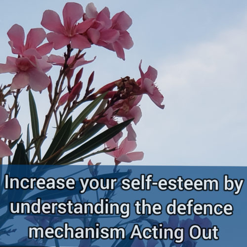 Increase your self-esteem by understanding the primitive defense mechanism acting out