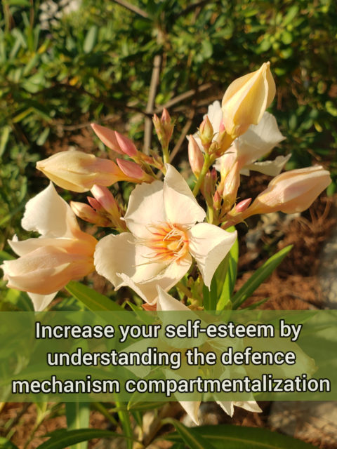 Increase your self-esteem by understanding the defense mechanism Compartmentalization