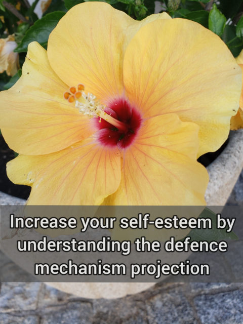 Increase your self-esteem by understanding the primitive defense mechanism projection