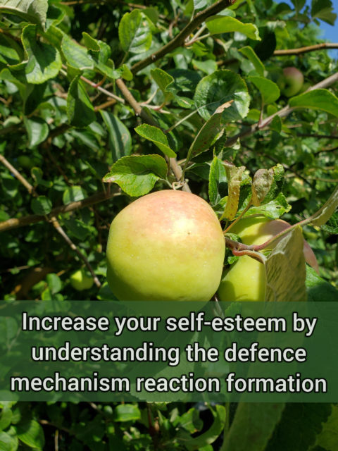 Increase your self-esteem by understanding the moderately primitive defense mechanism reaction formation 