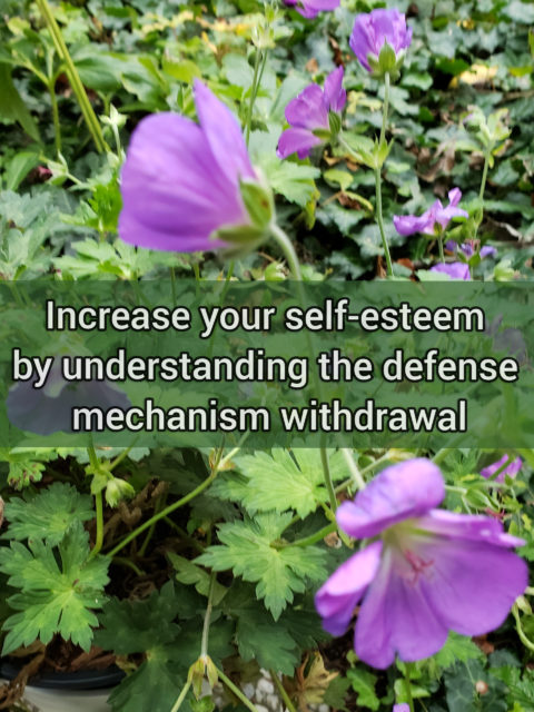 Increase your self-esteem by understanding the primitive defense mechanism withdrawal