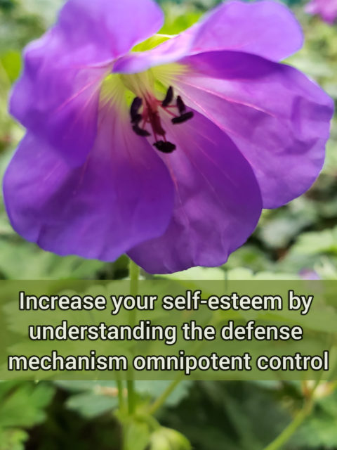 Increase your self-esteem by understanding the primitive defense mechanism omnipotent control