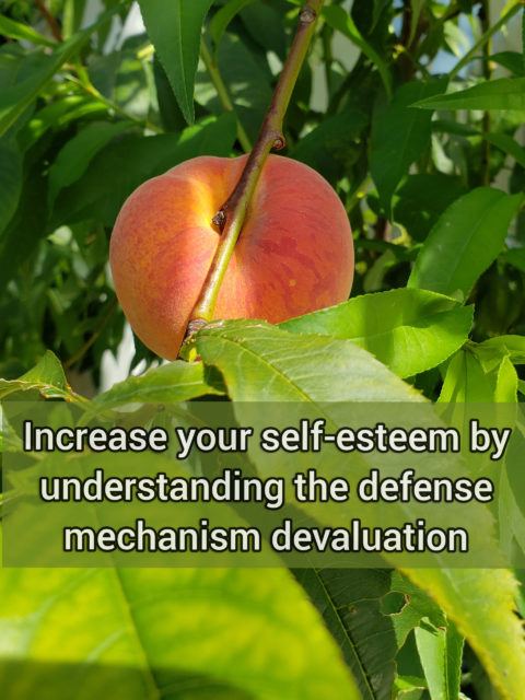 Increase your self-esteem by understanding the primitive defense mechanism devaluation