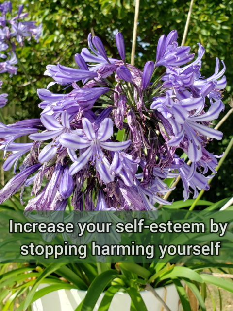 Increase your self-esteem by stopping harming yourself