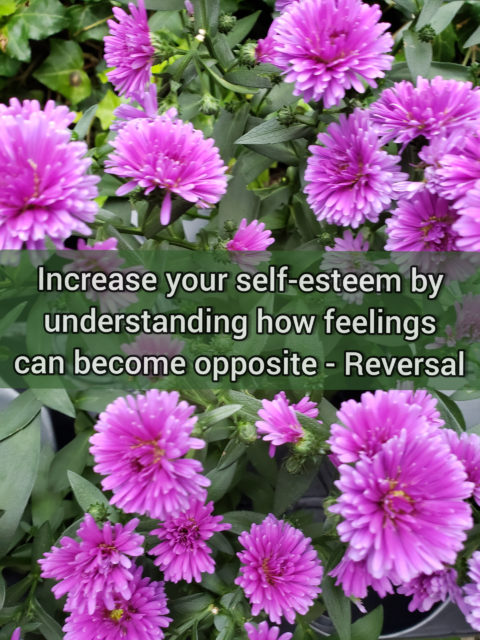 Increase your self-esteem by understanding how feelings can become opposite - Reversal