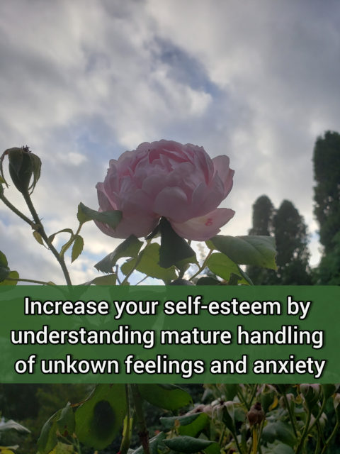Increase your self-esteem by understanding mature handling of feelings and anxiety