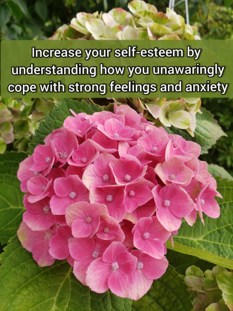 Increase your self-esteem by understanding how you cope with strong feelings and anxiety