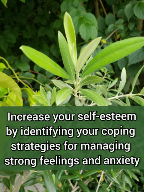 Identify your coping strategies for managing strong feelings and anxiety