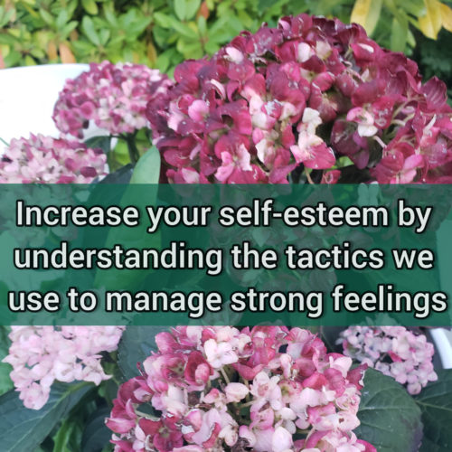 Increase your self-esteem by understanding how we use tactics to manage strong feelings
