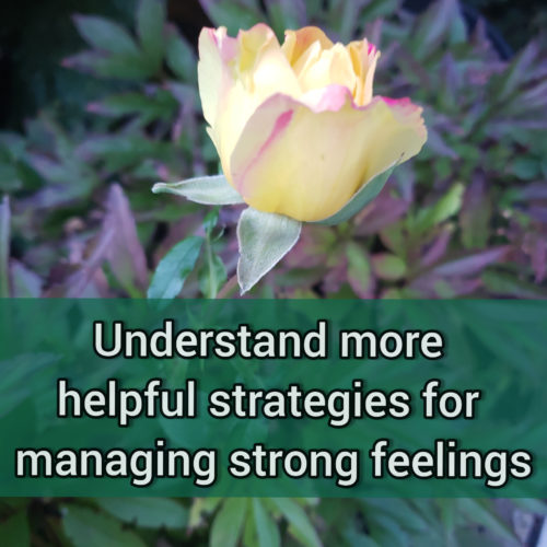 More about somewhat helpful strategies we use to manage strong feelings
