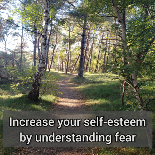 Increase your self-esteem by understanding fear