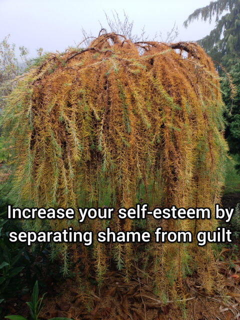 Increase your self-esteem by separating shame from guilt