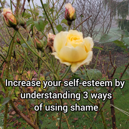 Increase your self-esteem by understanding 3 ways of using shame