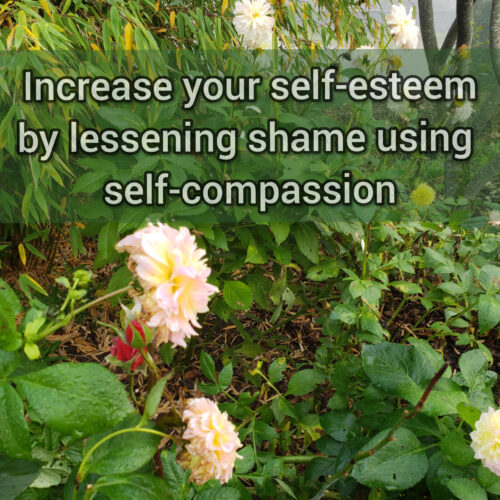 Increase self-esteem by lessening shame using self-compassion