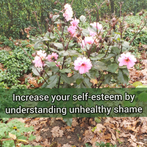 Increase your self-esteem by understanding unhealthy shame