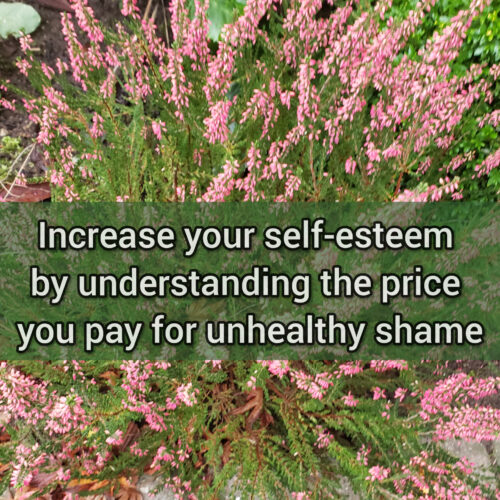 Increase your self-esteem by understanding the price you pay for unhealthy shame