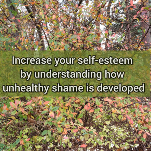 Increase your self-esteem by understanding how unhealthy shame is developed