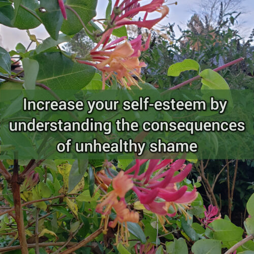 Increase your self-esteem by understanding the consequences of unhealthy shame