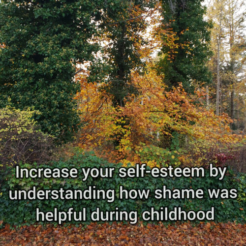 Increase your self-esteem by understanding how shame was helpful during childhood