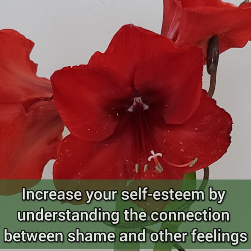 Increase your self-esteem by understanding the connection between shame and the other feelings