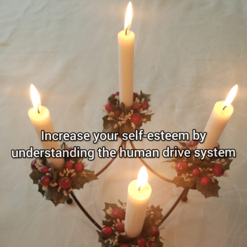 Increase your self-esteem by understanding the human drive system