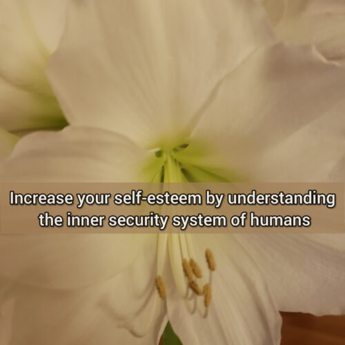 Increase your self-esteem by understanding the human inner security system