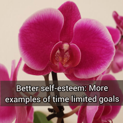 Better self-esteem: More examples of time limited goals