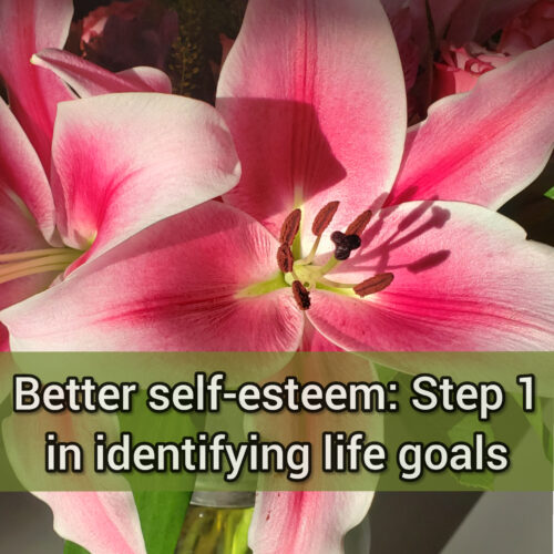 Better self-esteem: Step 1 in identifying life goals