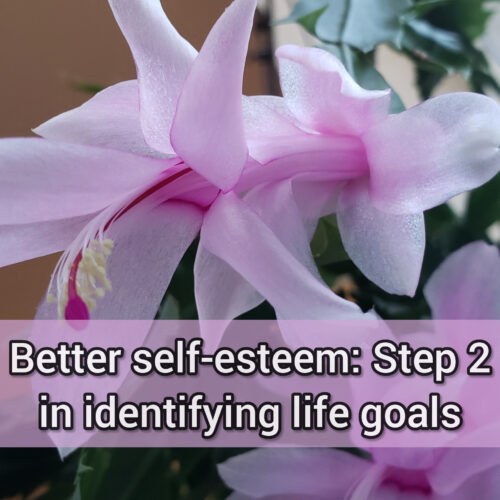 Better self-esteem: Step 2 in identifying life goals