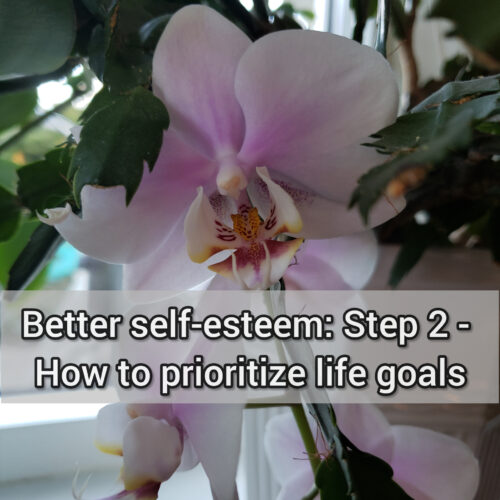 Better self-esteem: Step 2 - How to prioritize life goals