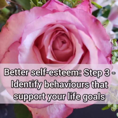 Better self-esteem: Step 3 - Identify Behaviours that support your life goals