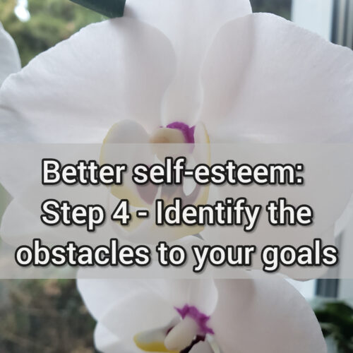 Better self-esteem: Step 4: Identify the obstacles to your goals