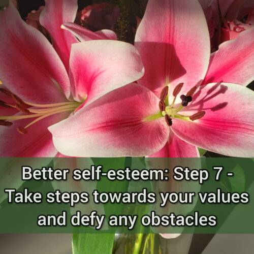 Better self-esteem: Step 7 - Take steps towards your values and defy any obstacles
