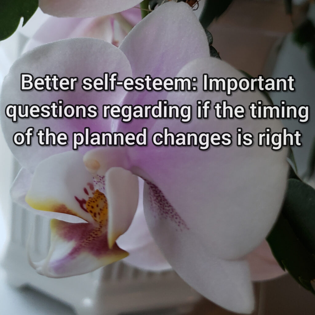 Better self-esteem: Important questions regarding if the timing of the planned changes is right