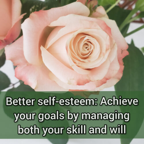 Better self-esteem: Achieve your goals by managing both your skill and will
